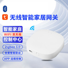 跨境外贸涂鸦蓝牙网关智能家居无线tuya APP gateway智能家居平台