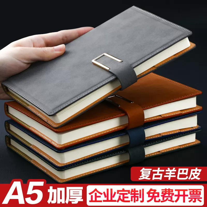 羊巴皮笔记本子高颜值加厚2022年新款记事本商务会议记录本a5手账