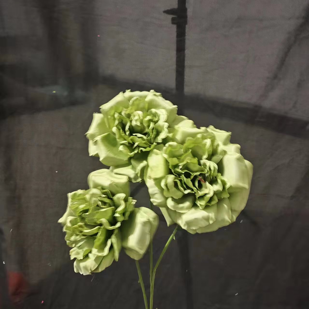 녹색