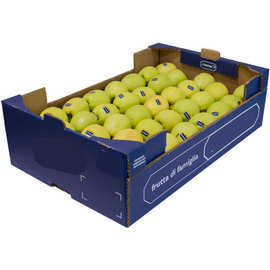 Biodegradable Berry Box Fruit Tray Strawberry Packaging