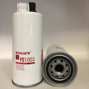 Fs1003 Thread FS1003柴滤 FS19596 4070801 P551103 FS1022 FS1067-阿里巴巴