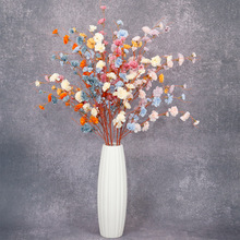 32�^��ޱ ���滨ɭϵ�ٻ���c��ˇ���Ļ�Y�ò����b��ҾӔ[��