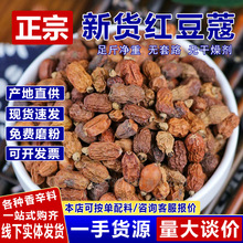 �t��ޢ �t�� �t���� �t�� ������ ��ș�ļt��ޢ �t�������{�����l