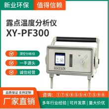 XY-PF300型便携式露点温度分析仪 进口薄膜电容式陶瓷湿度传感器