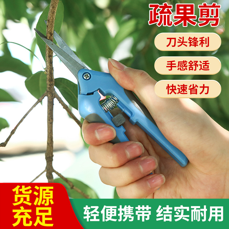 供应园艺专用剪刀水果葡萄采摘不锈钢剪刀 果树修枝剪直头稀果剪