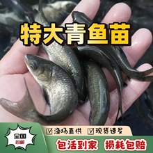 �ؑc��·���~������~һ�����~�����~���Ĵ���~���Bֳ�����ش�