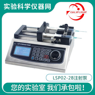 Baoding Dichuang Lsp02-3B High-Precision Dual-Channel Independent Control Micro Laboratory Pump
