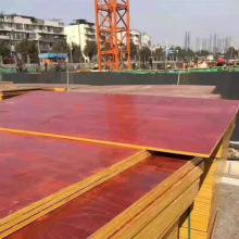 zСtڰ帲Ĥľ幤̰Ӱzϰľ彨Bģ