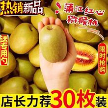 四川红心猕猴桃奇异果孕妇新鲜水果猕猴桃泥猴桃批发