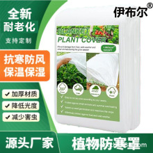 防寒保温无纺布透气保湿防虫PP覆盖农用布蔬水稻育秧育苗无纺布