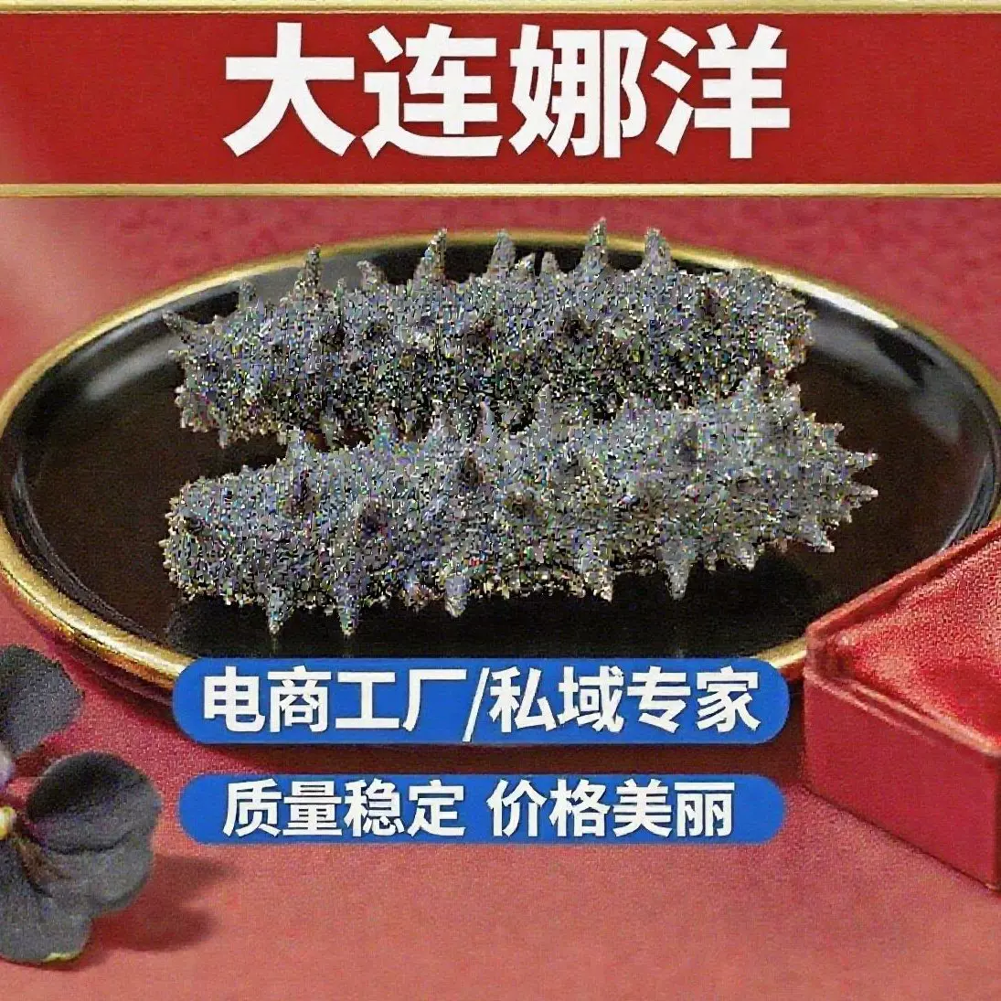 国标大连工厂！淡干海参源头干货批发野生辽参礼盒装电商代发海参