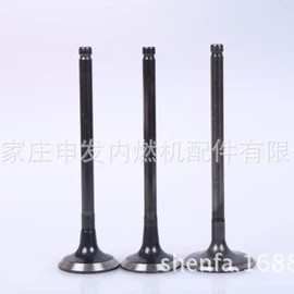 气门及部件;发动机总成;气门部件
