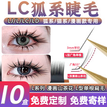 LC型狐系睫毛嫁接泰式L型广角兔猫系漫画山茶花不散根美睫店专用