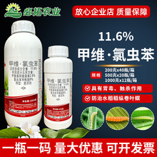 11.6%�׾S���x����㊰����v���~���rș���x���׾S�}���x��������