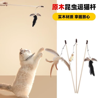 新款木质逗猫棒羽毛弹力绳逗猫棒带铃铛互动自嗨逗宠物益智猫玩具