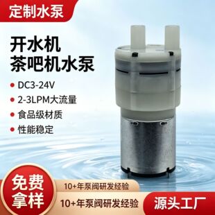 095ˮ�� ʳƷ������  24V������2-3L  �_ˮ�C �׾ƙC ��əC��ˮ