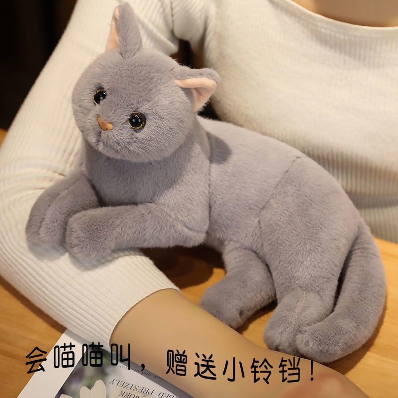 仿真猫可爱小猫抱枕猫咪公仔毛绒玩具玩偶安抚布娃娃儿童代销
