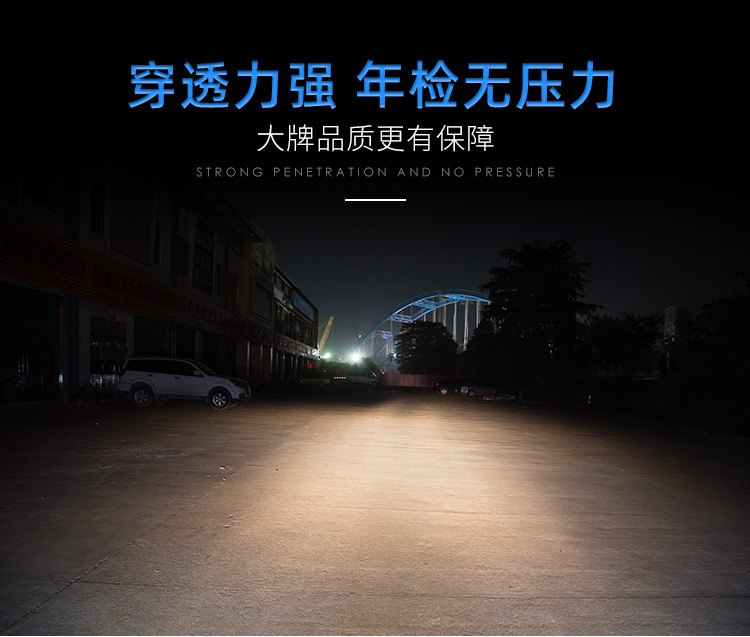 Foshan Lighting 9005 Car Bulb Hb3 65W 100W High Beam Headlight Far and Near Integrated 12V Halogen Bulb