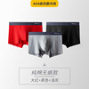 Colored pants, demi-season trousers, combed cotton, wholesale