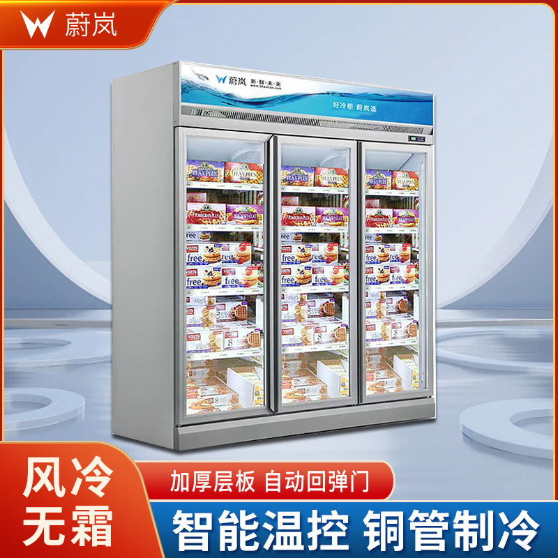 立式冷冻柜超市单门冰柜肉制品双门冰箱便利店商用水饺汤圆速冻柜