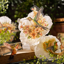 美好的一天pet贴纸包 花鸟集系列 水彩花鸟手帐装饰30张入 6款选