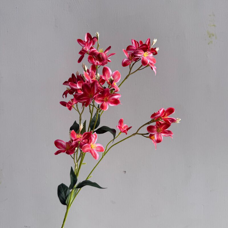 新鮮な蘭の小花、野の花、ホテルの背景の壁のフラワーアレンジメント、造花、結婚式場のフラワーアレンジメント、造花|undefined