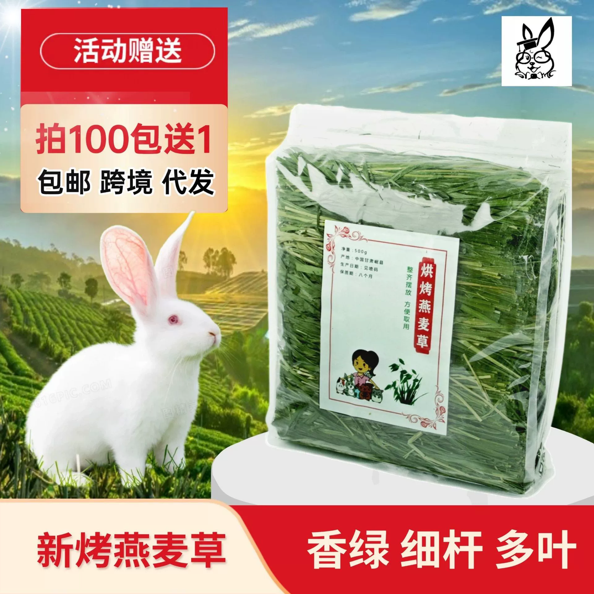 Бесплатная доставка: сушеная трава тимофеевка, овсяная трава, ржаная трава, ячменная трава, пшеничная трава, сено для кроликов, шиншилл, морских свинок