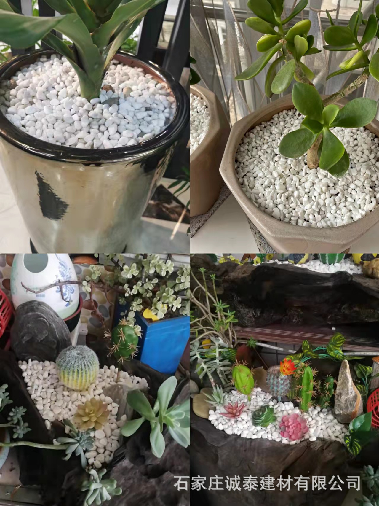 微信图片_20211109103536