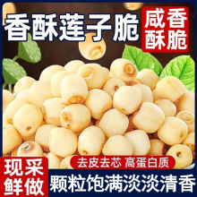 ɏӴٷŞbʳȥоÓˮԭζ߲˸eʳ׷С