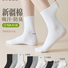 ��ɫ�m��Ů�����޼�����Ͳ�m��������10�־��½����mŮʿ�L�m