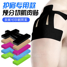 �����N�o��@���\�ӆT�����\�ӾX��һ�w���͏�����ü��A���м��N