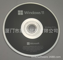 ӢDVD汾Windows 11 Pro ϵͳ,DVD̰װһû