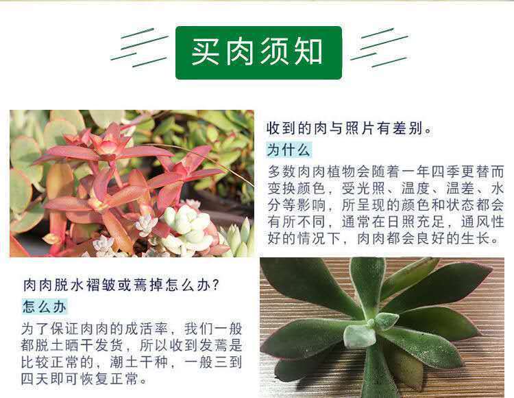 ec0e62f8-05b4-40ad-83cf-aec74db8e397.jpe