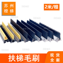 �m���ͨ�������W��˹��Ѹ��������ëˢ2��/�����ݷ��Aëˢ281155