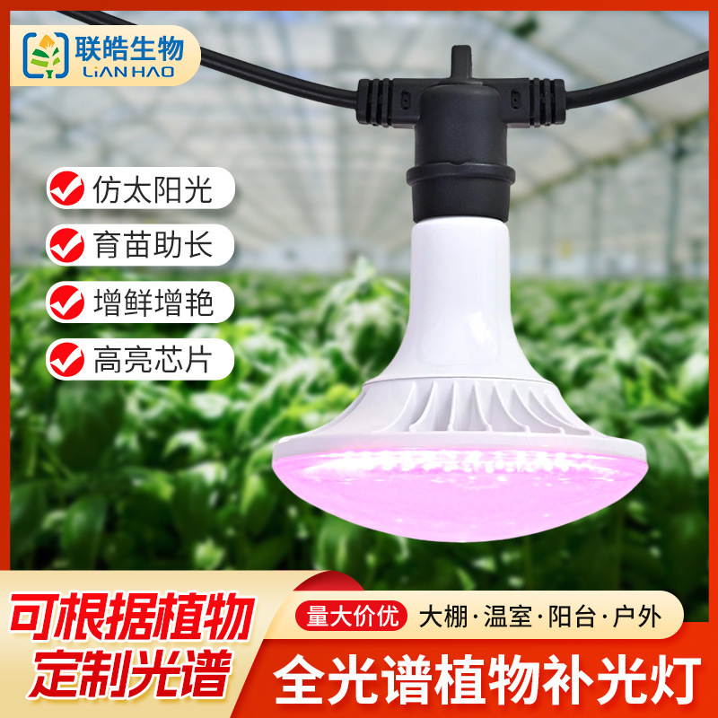 LED fill light