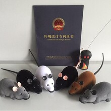 �羳������߶�è����ң���������綯��è�������ϣ������