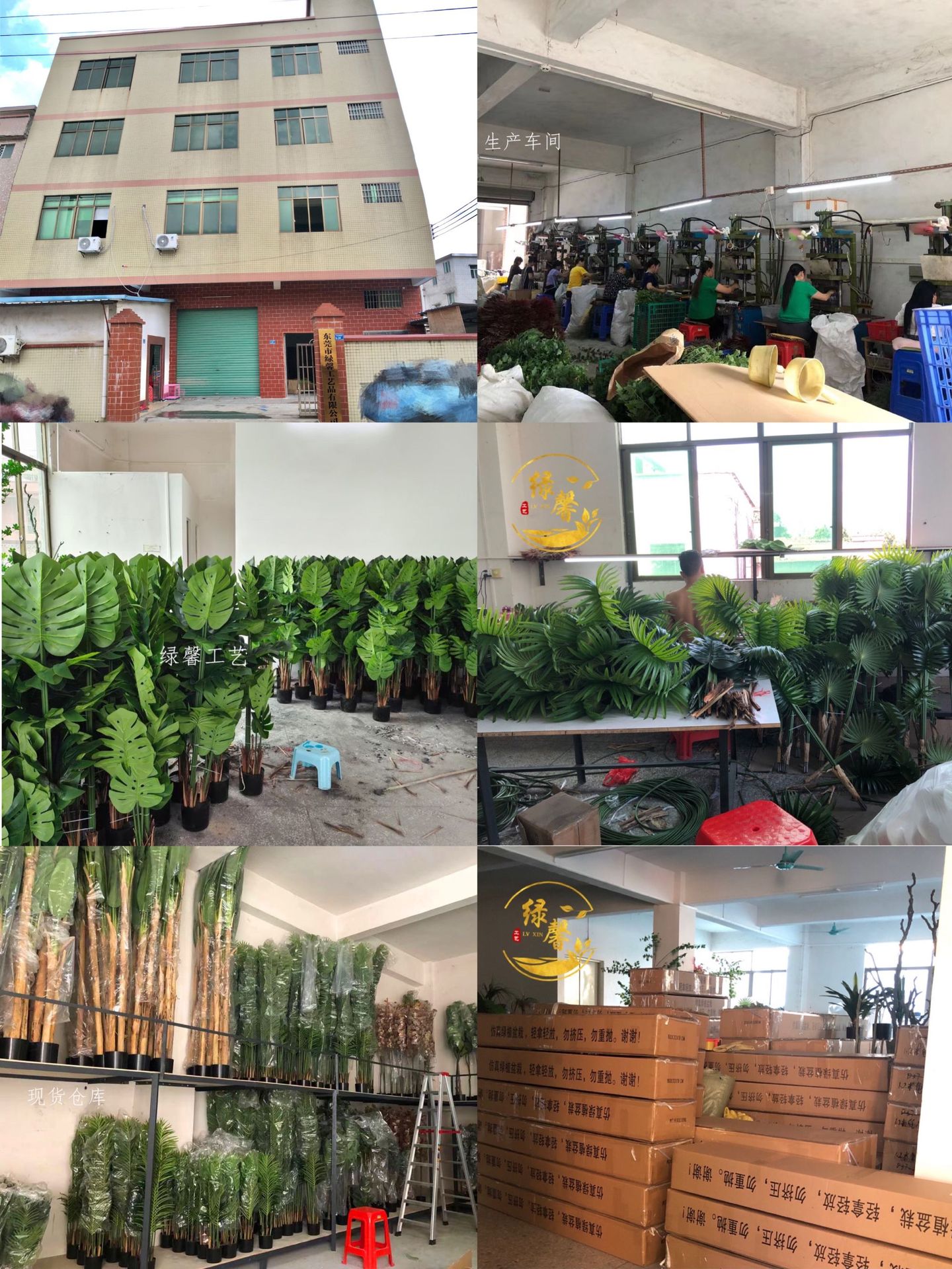 微信图片_20210629160342