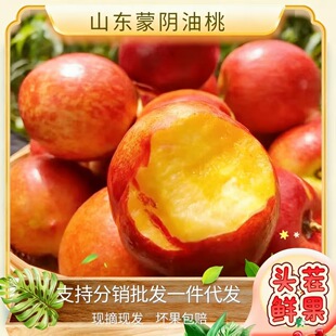 ɽ�|�������5��ˮ�����������A�����lһ�����l�J�������r���