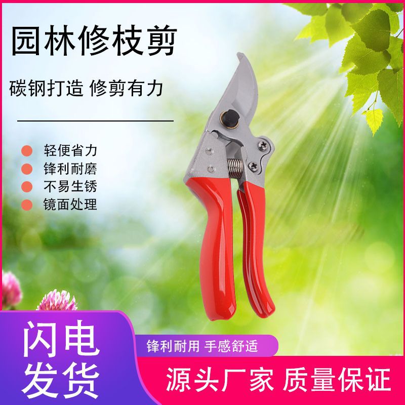 果枝剪sk5钢园艺修枝剪刀果树花枝修剪省力枝条粗枝园林高枝伸缩