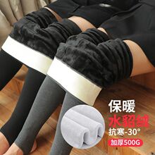 冬季加绒加厚踩脚打底裤女外穿一体绒保暖高腰东北棉裤大码不起球