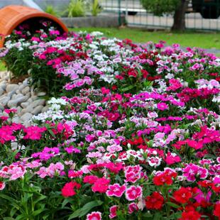 ���ʯ�����ļ���Ůʯ���׻�����ͥԺ���U�����̨���Ի��N����