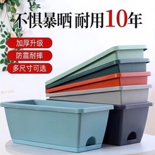 �L���λ􂐻��������̨�N�����������L�l�������ԷNֲ���ش����l