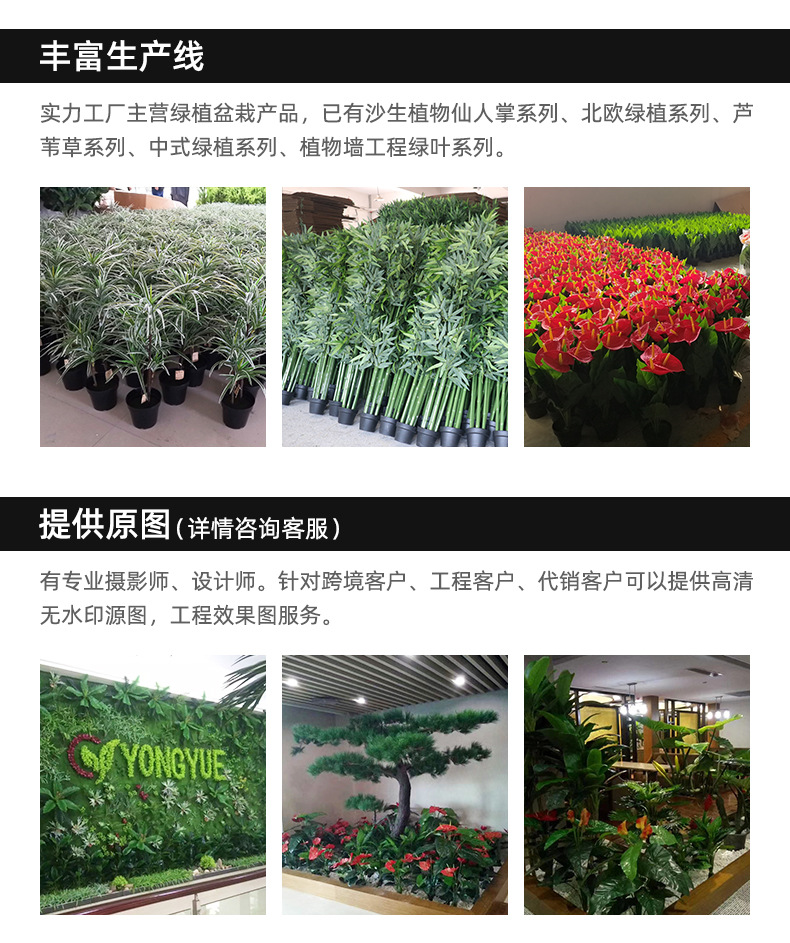 家居仿真植物盆栽盆景万年青红心芋红底绿萝橡皮叶龟背盆栽详情16