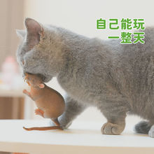 逗猫玩具软胶静态老鼠猫猫自嗨用品耐咬解闷神器调皮调皮猫的宝优