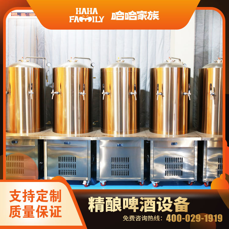 精酿啤酒生产设备 精酿啤酒生产机器 精酿啤酒灌装机械 送配方