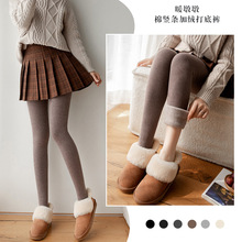 ���ѝŮ�ﶬ���ӽq�Ӻ��Bѝ�m���Q�l�ŷֲ��_��ɫ�⴩��ů����m