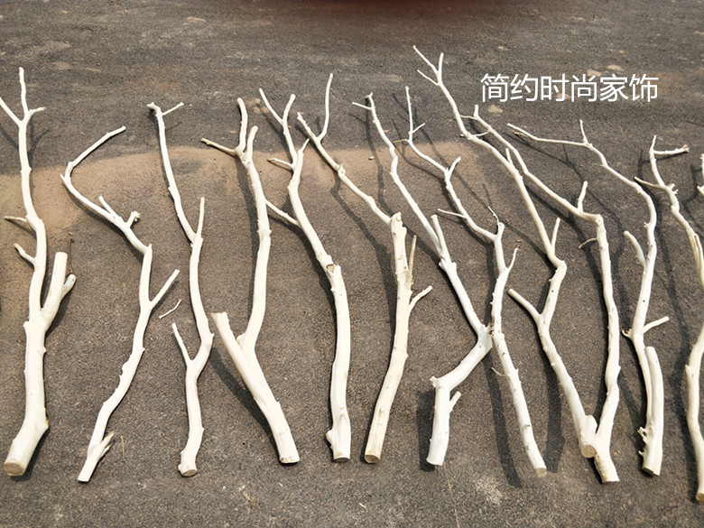 。Arquivos de flores de ramas secas de madera tronco artístico ramas secas maderas secas de madera secas descorpeadas modelado percha de pared paquete de tronco