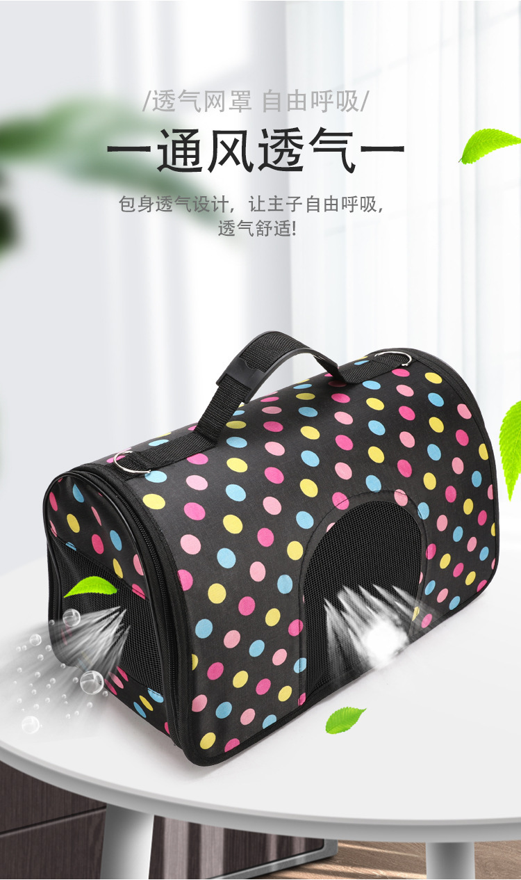 14203982762_688125845