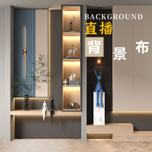 新款直播背景布感网红主播简约快手拍照拍摄3d立体直播间背景