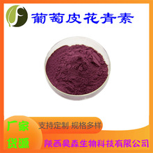 葡萄皮花青素 多规格 水溶 葡萄皮色素 葡萄皮提取物 厂家现货